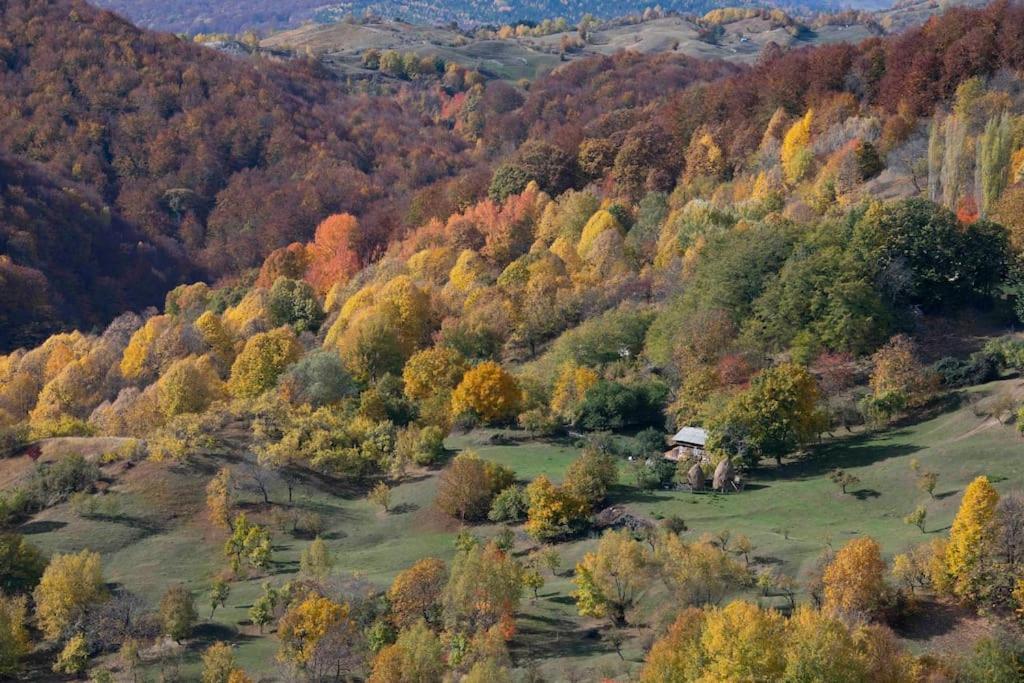 Valley View Breaza Extérieur photo